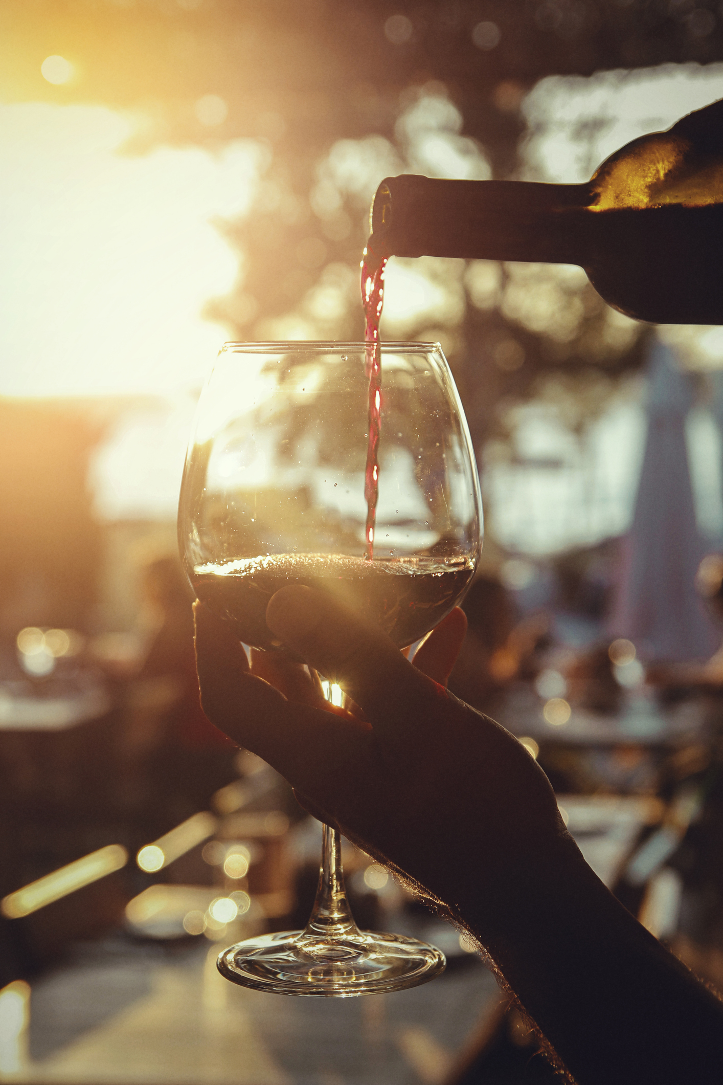 Bella Luxury Rentals - Wine Tasting
